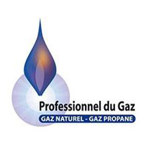 Logo Professionnel du Gaz